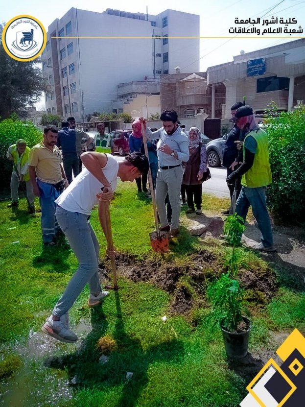 حملة تشجير